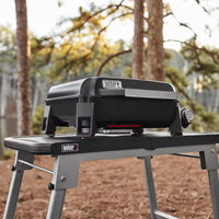 Plancha de sobremesa Slate™ de 43 cm (17")