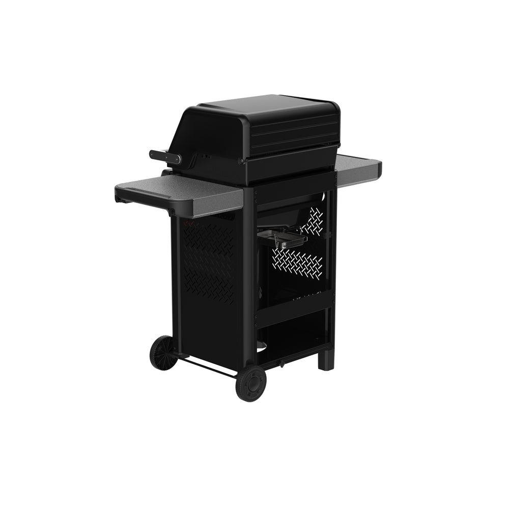 Asador de gas Spirit E-325
