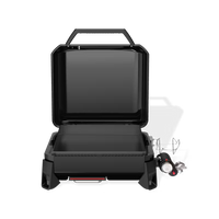 Plancha de sobremesa Slate™ de 43 cm (17")
