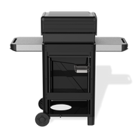 Asador de Gas Spirit Fusion E210