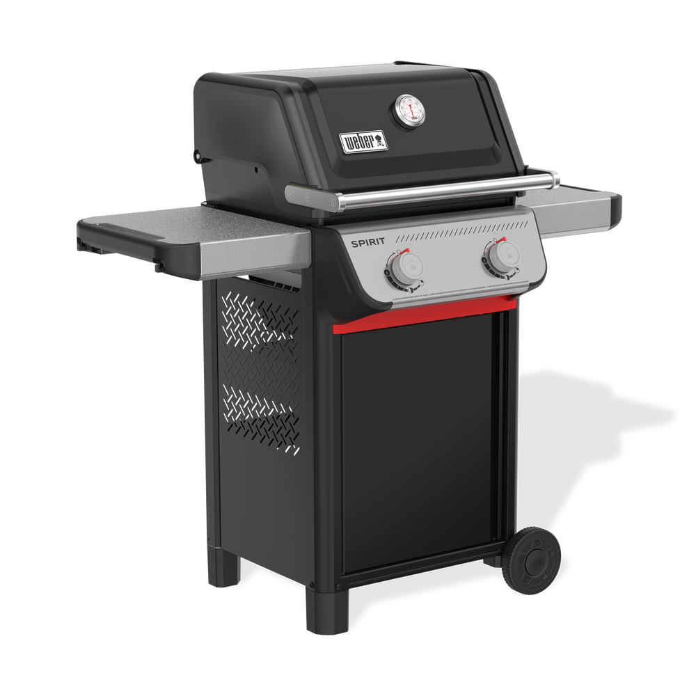 Asador de Gas Spirit Fusion E210