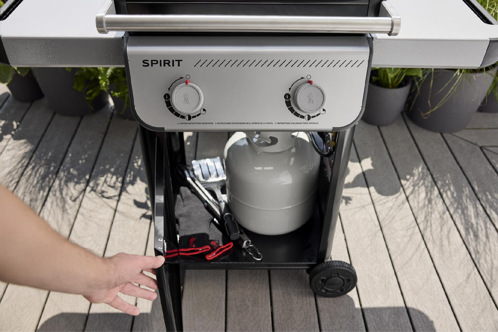 Asador de Gas Spirit Fusion E210