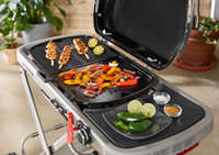 Asador de Gas Traveler All Black
