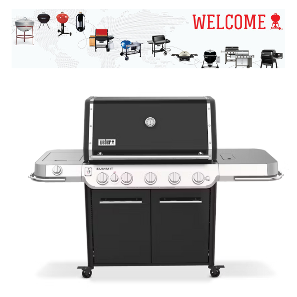 Asador de Gas Nueva Serie Summit FS38E