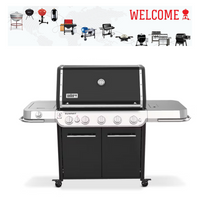 Asador de Gas Nueva Serie Summit FS38E