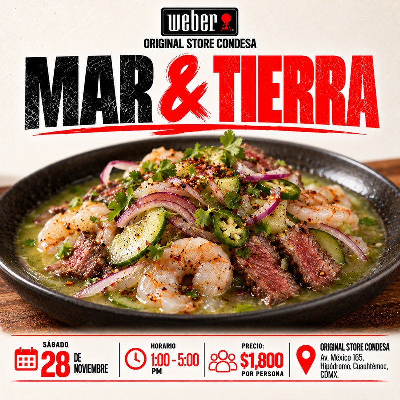 Curso: Mar & Tierra