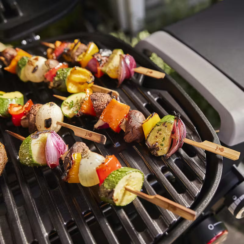 Asador Weber Q2800N+ con Funda de regalo