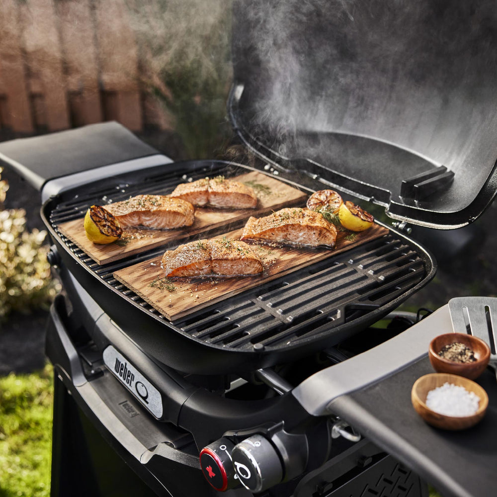 Asador de gas Q 2800 con carrito