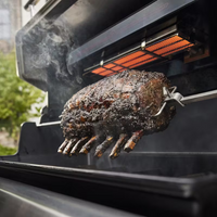 Asador de Gas Nueva Serie Summit FS38E