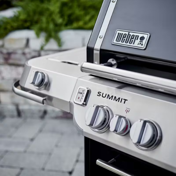 Asador de Gas Nueva Serie Summit FS38E