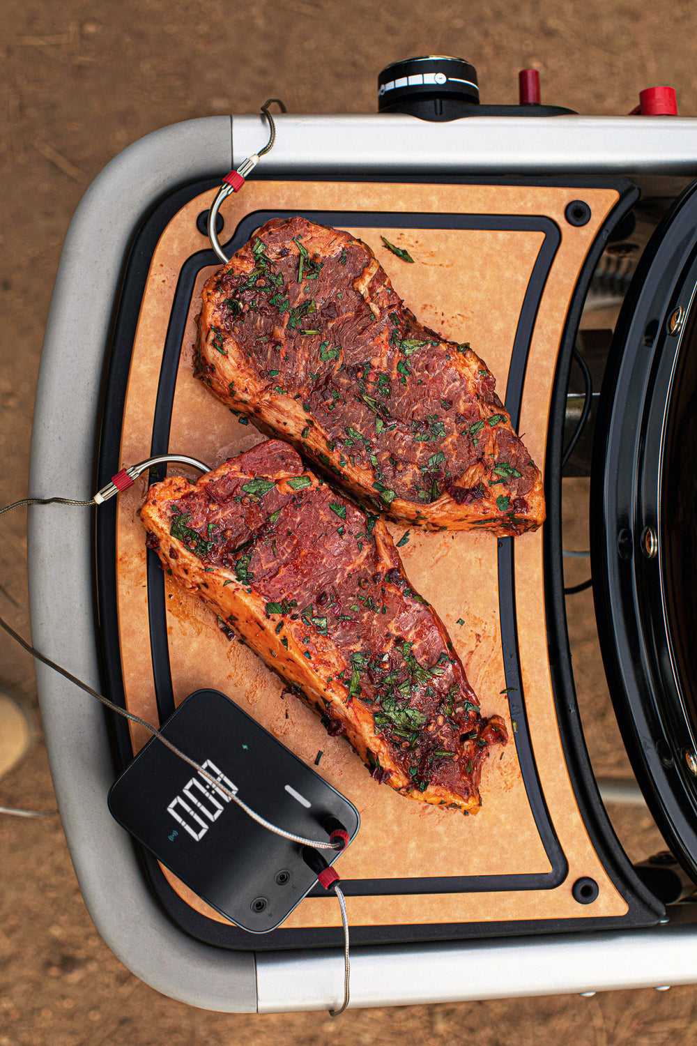 Asador de Gas Traveler All Black