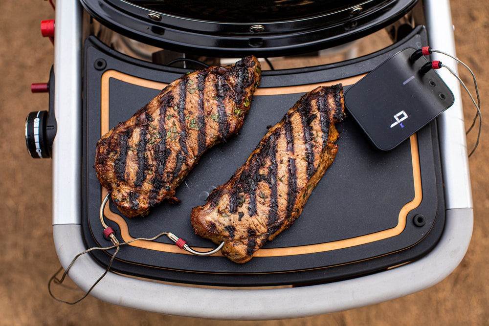 Asador de Gas Traveler All Black
