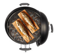 Asador Kettle Premium 22“